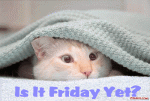 cat is it Friday