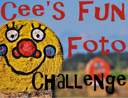 http://ceenphotography.com/fun-foto-challenge/